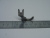 SAM_5467