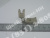SAM_5518 SAM_5518